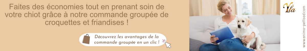 commande-groupee-croquettes-friandises-pour-chiot